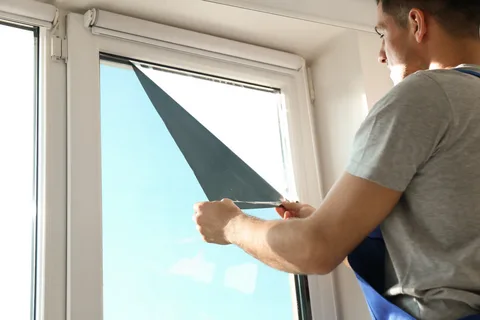 Window Tinting Services Plano Tx