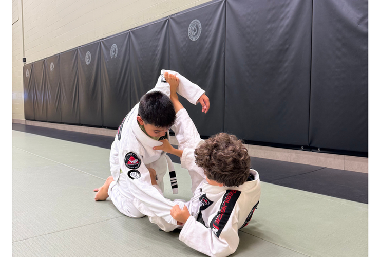 Karate for Kids: Skills, Discipline & Confidence Guide